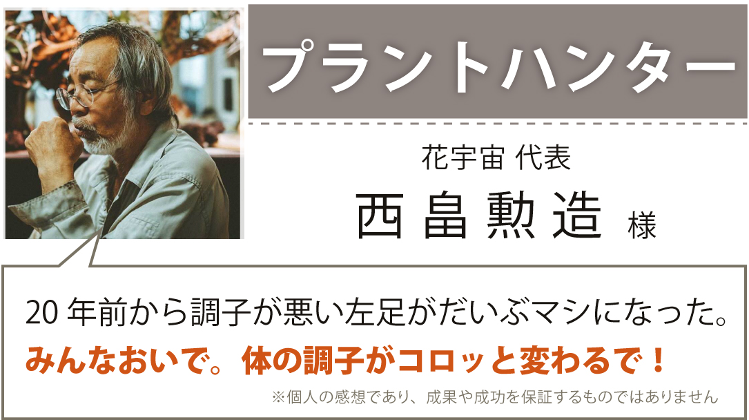 プラントハンター 花宇宙代表 西畠勲造様
